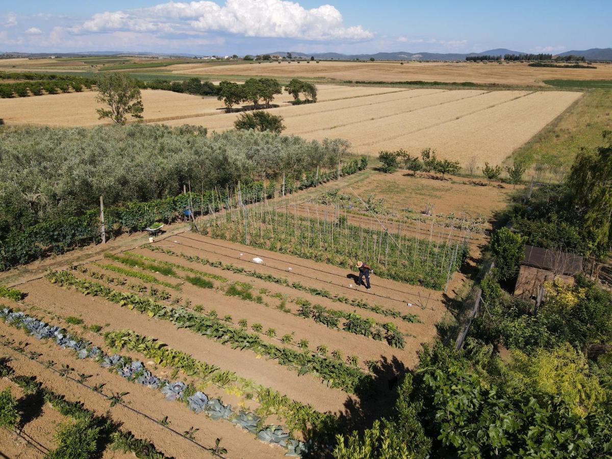 Locanda Le Mandriane Albinia Exteriér fotografie