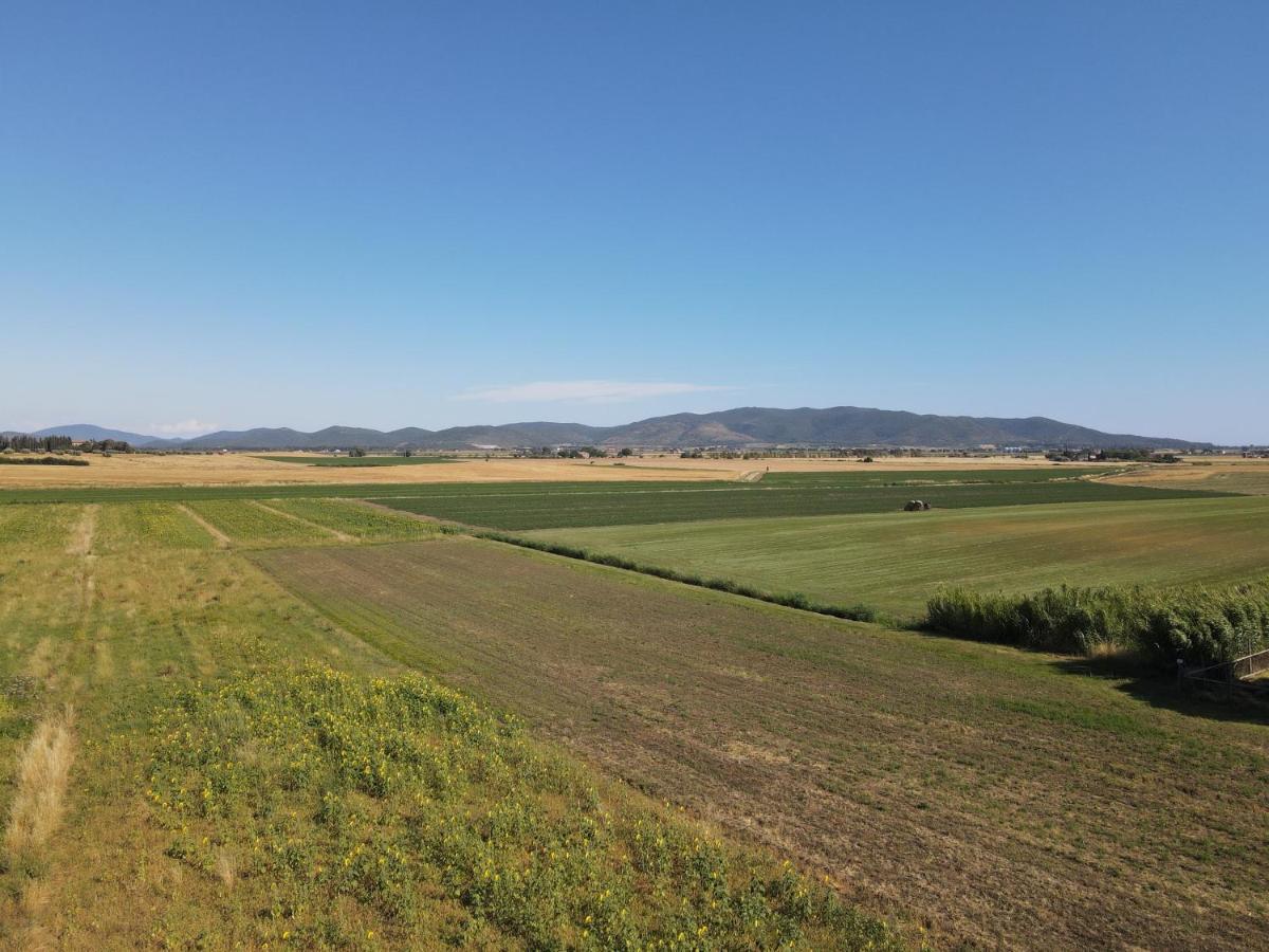 Locanda Le Mandriane Albinia Exteriér fotografie