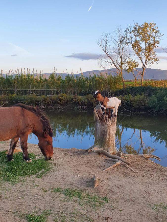 Locanda Le Mandriane Albinia Exteriér fotografie